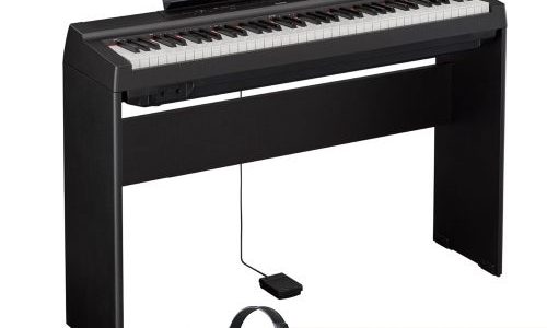 Co to Stage Piano?